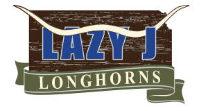 Lazy J Longhorns